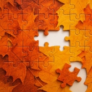 ediCERT® Training Herbst 2025
