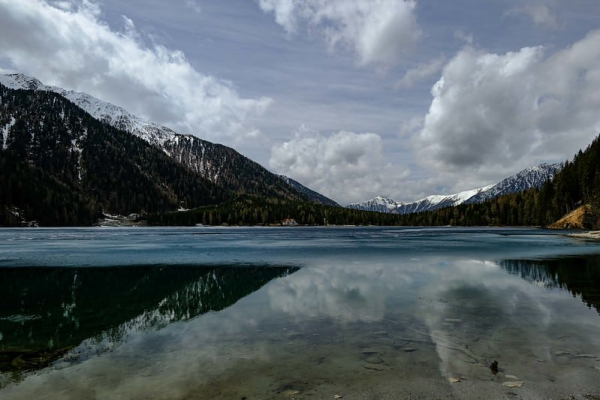 54467138797_1887052f4c_c